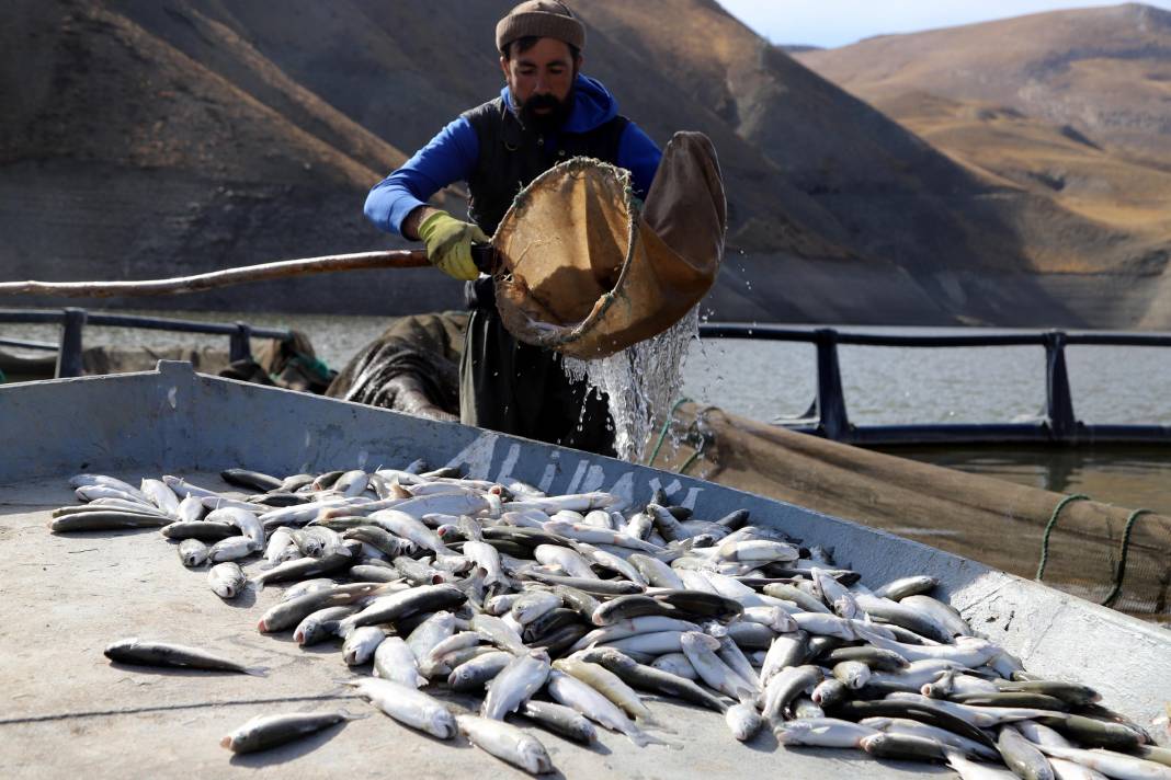 Göl buharlaştı: Balık ölümleri arttı 5