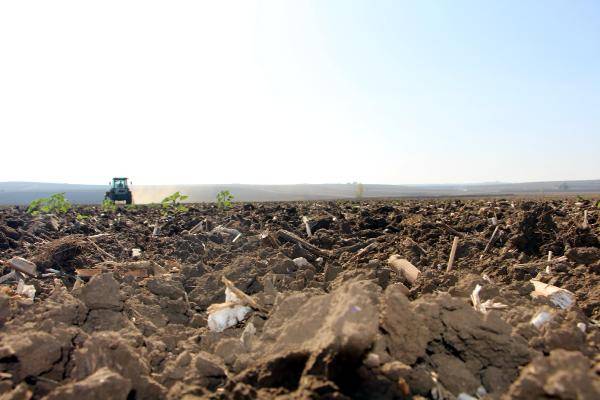 Trakya'yı kuraklık vurdu, buğday ekimi gecikti 5