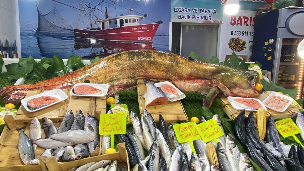 Edirne'de tutuldu: Toplam 90 kilogram ağırlığında 3