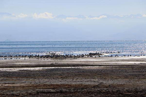 İşte 26 yılda buharlaşan su: Van Gölü'nde çekilme devam ediyor 6