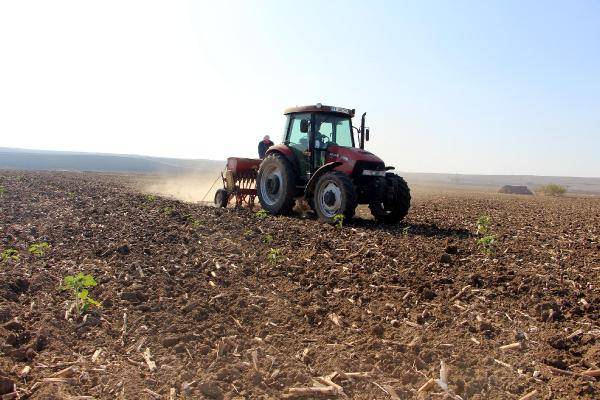 Trakya'yı kuraklık vurdu, buğday ekimi gecikti 2