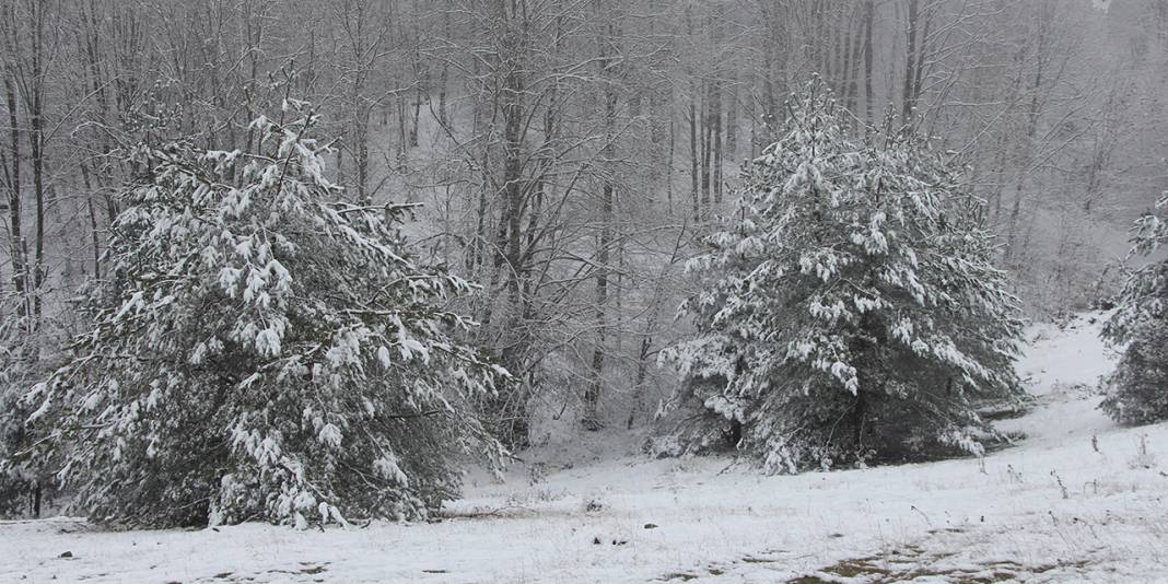 Amasya yükseklerine beyaz örtü 3