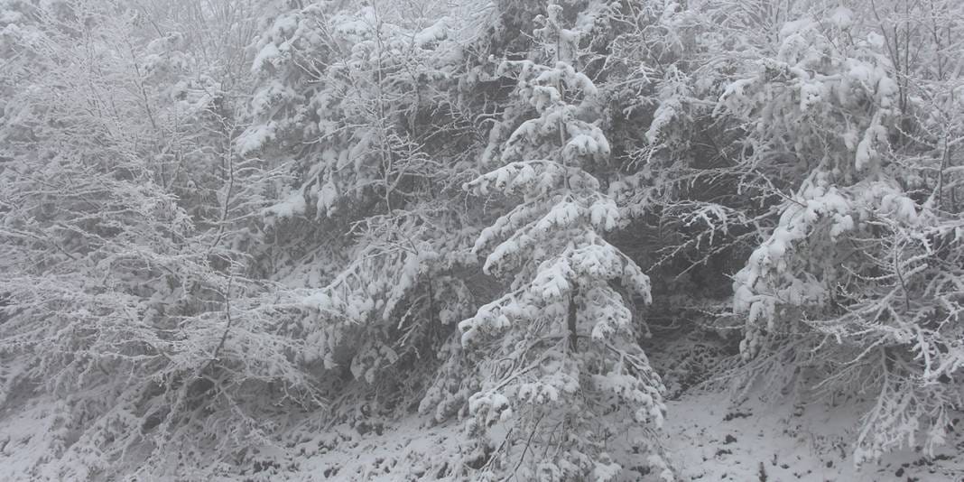 Amasya yükseklerine beyaz örtü 4
