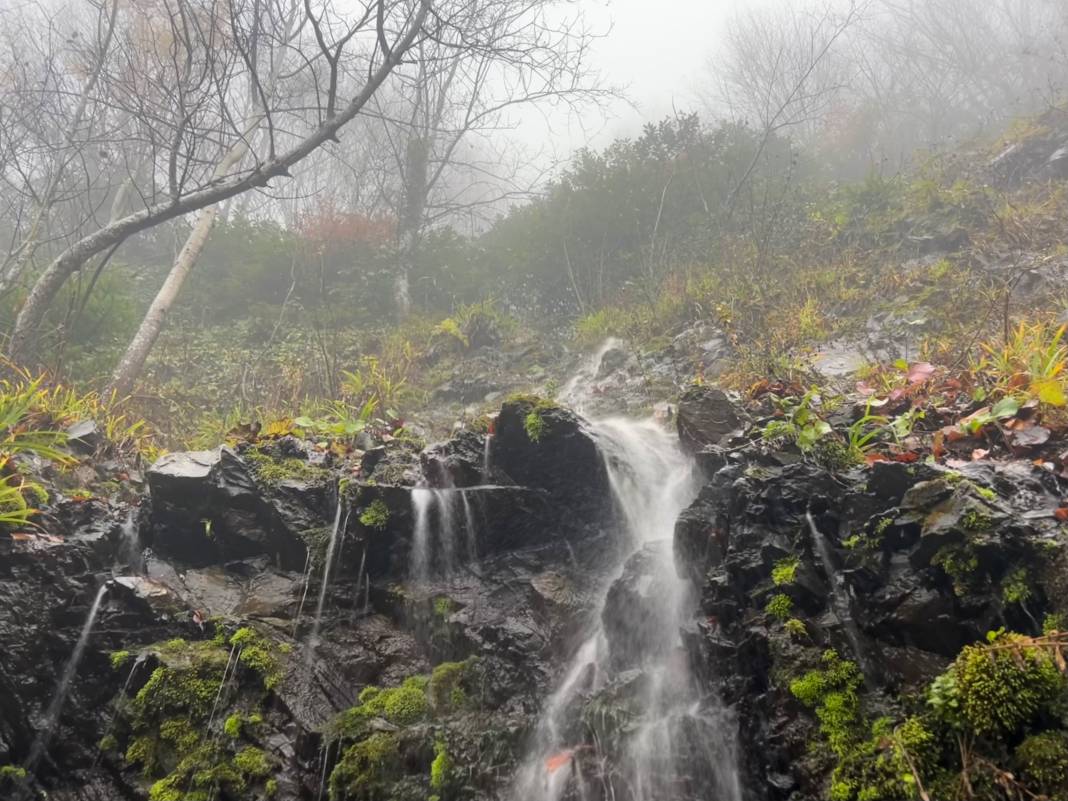 Sakarya, Düzce, Bolu ve Bartın'da göz gözü görmüyor 1