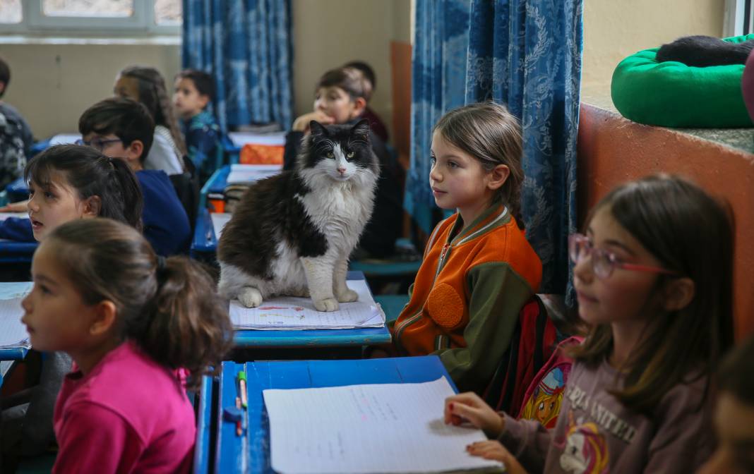 'Patili okul'dan içinizi ısıtacak kareler 11