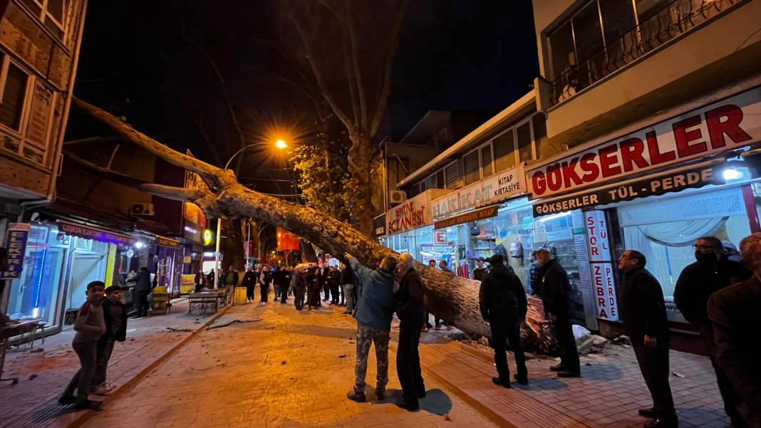 300 yıllık çınar ağacı iş yerinin çatısına devrildi 1