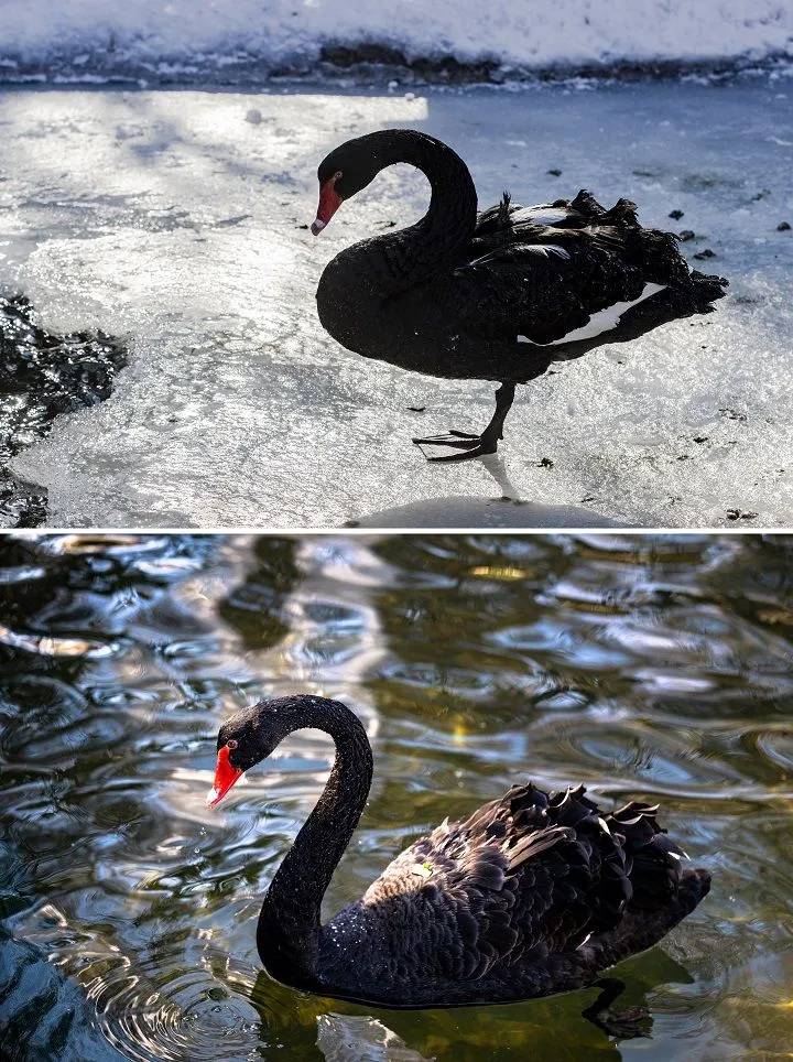 Fotoğraflarla kuraklıktan önce ve sonra Ankara 11