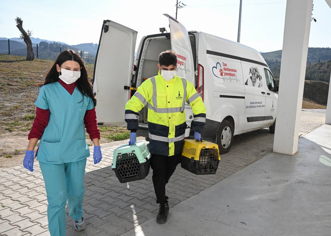 Enkazdan kurtarıldılar! Can yoldaşınız onlardan biri olabilir 9