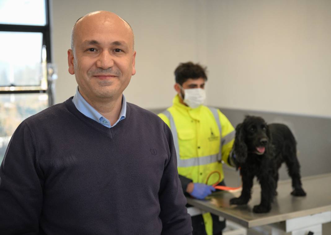 Enkazdan kurtarıldılar! Can yoldaşınız onlardan biri olabilir 6