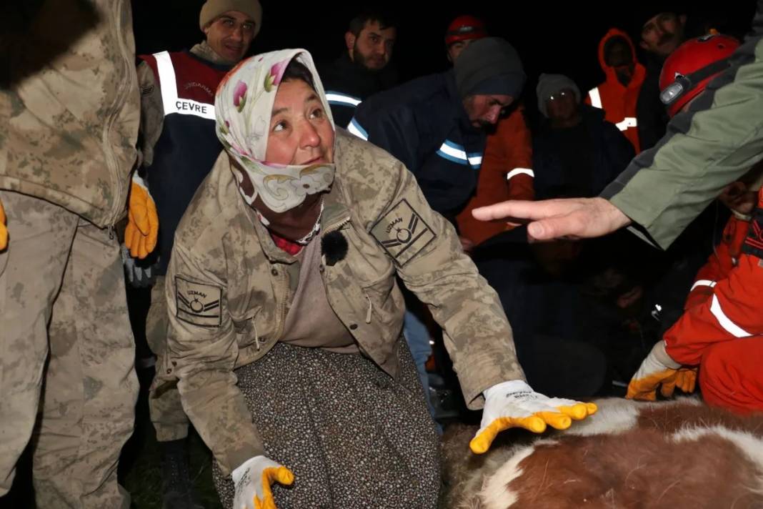 Bircan inek 11 gün sonra enkazdan kurtarıldı 1