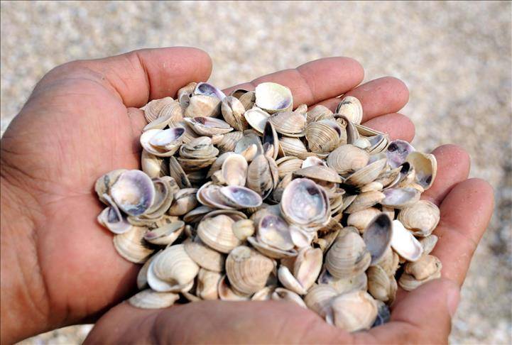 Hobilerinizle kendinizi keşfedin... İşte boş zamanlarınızda yapabileceğiniz etkinlikler... 9