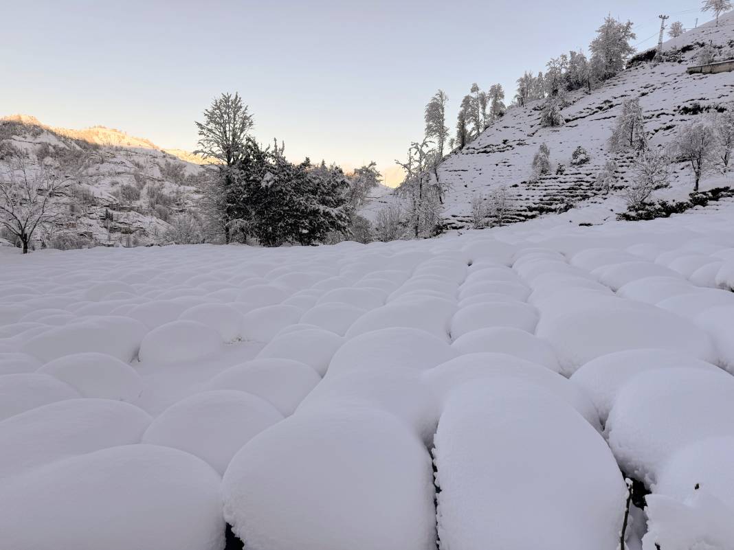 Doğu Karadeniz'in Beyaz Örtüsü, Gündüz ve Gece Kar Yağışı. Karın Romantik Dansı Böyle Görüntülendi 2
