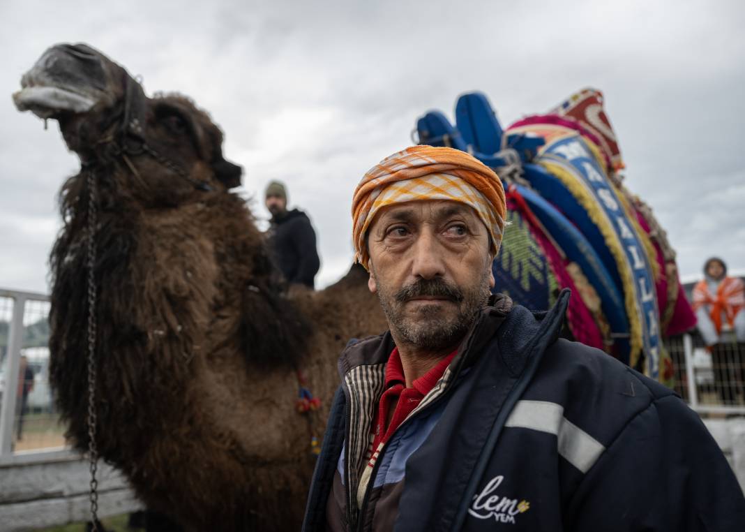 42. Efes Selçuk Deve Güreşleri Festivali yapıldı: Görüntüler Kameralara Böyle Yansıdı 1