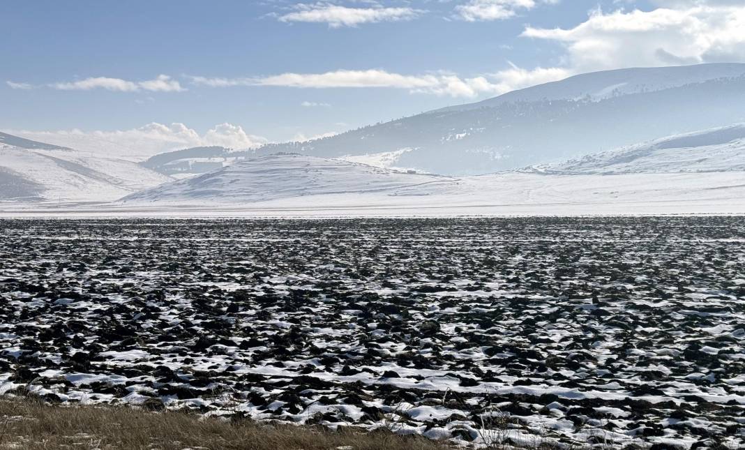 Erzurum, Ardahan ve Kars'ta Kar Etkili Oldu 1