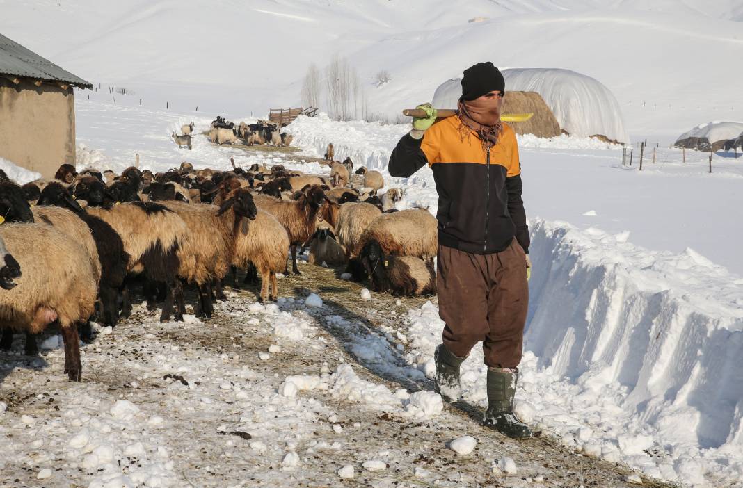 Köyde Evler Kar Altında Kaldı! Bazı Noktalarda 2,5 Metre. Kar Kalınlığı 1,5 Metreyi Geçen Köyde Günlük Yaşam Nasıl Geçiyor 18