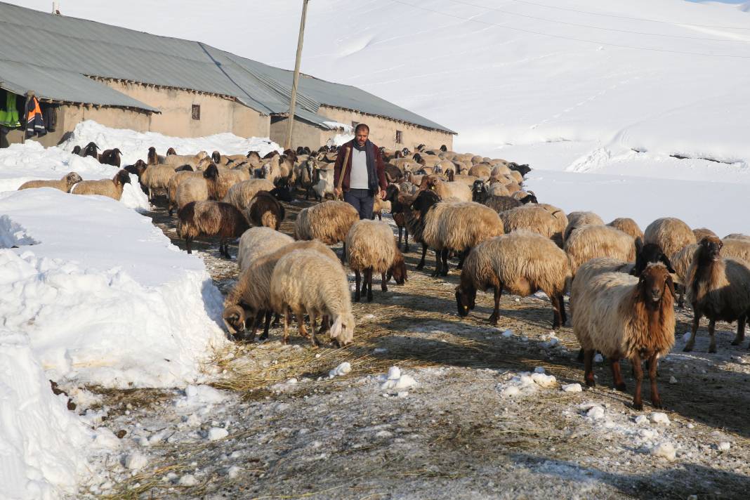 Köyde Evler Kar Altında Kaldı! Bazı Noktalarda 2,5 Metre. Kar Kalınlığı 1,5 Metreyi Geçen Köyde Günlük Yaşam Nasıl Geçiyor 8