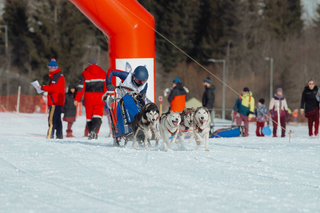 Slovakya'da 2. Uluslararası Köpek Kızağı Yarışması Başladı 32