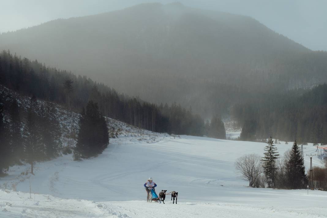 Slovakya'da 2. Uluslararası Köpek Kızağı Yarışması Başladı 21
