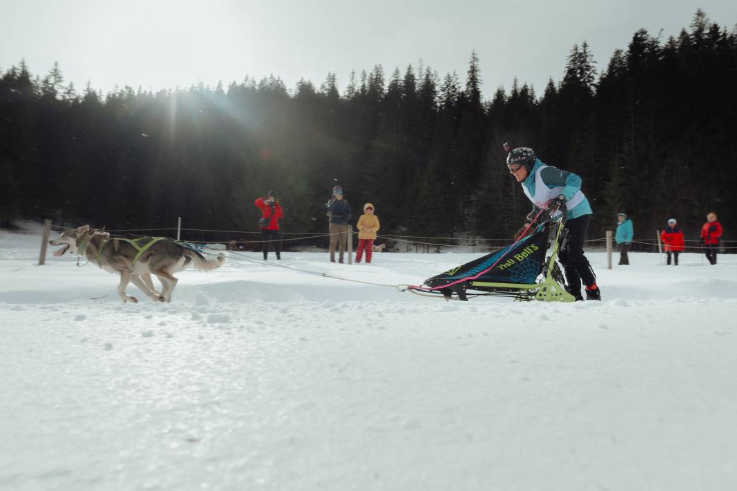 Slovakya'da 2. Uluslararası Köpek Kızağı Yarışması Başladı 17