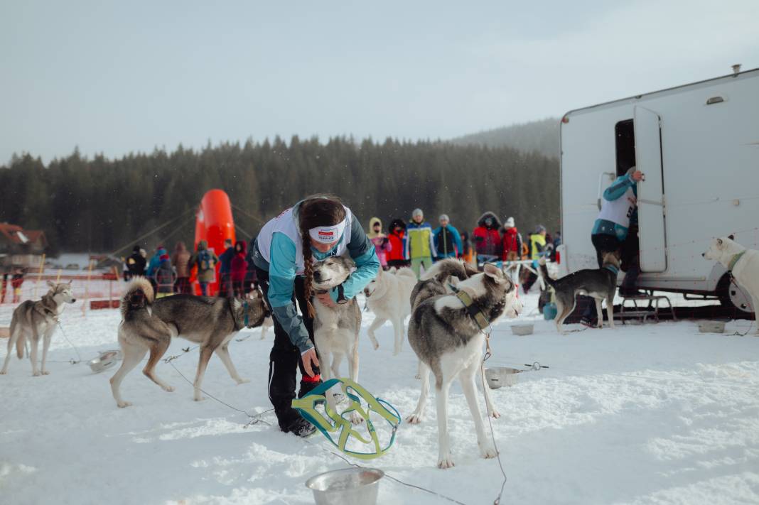 Slovakya'da 2. Uluslararası Köpek Kızağı Yarışması Başladı 15