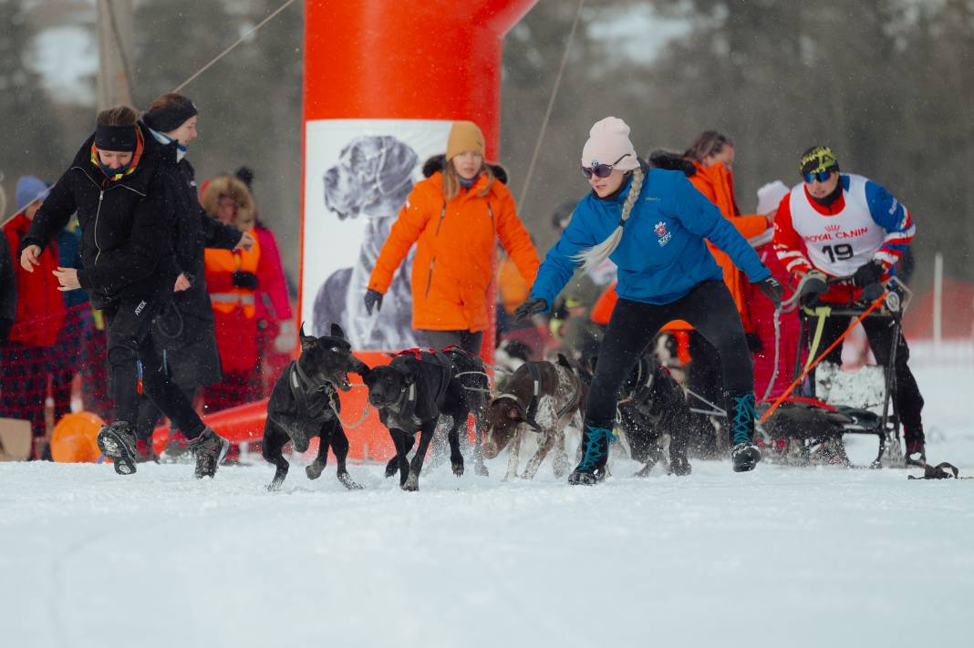 Slovakya'da 2. Uluslararası Köpek Kızağı Yarışması Başladı 10