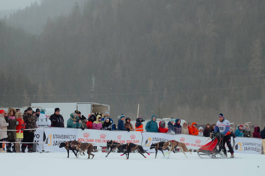 Slovakya'da 2. Uluslararası Köpek Kızağı Yarışması Başladı 7