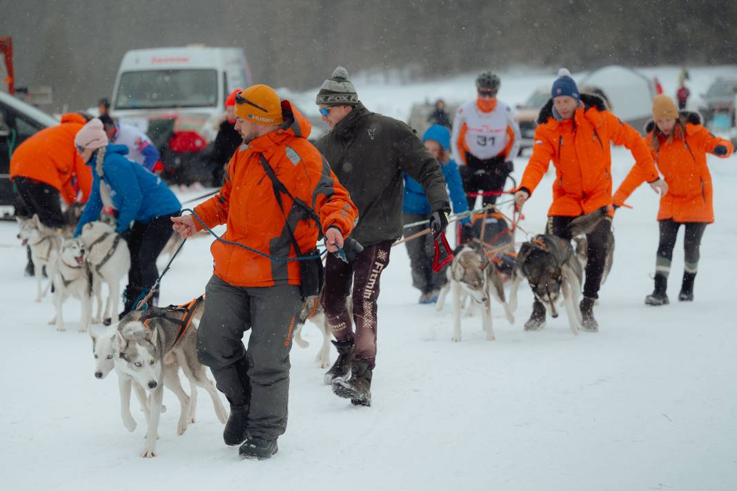 Slovakya'da 2. Uluslararası Köpek Kızağı Yarışması Başladı 3