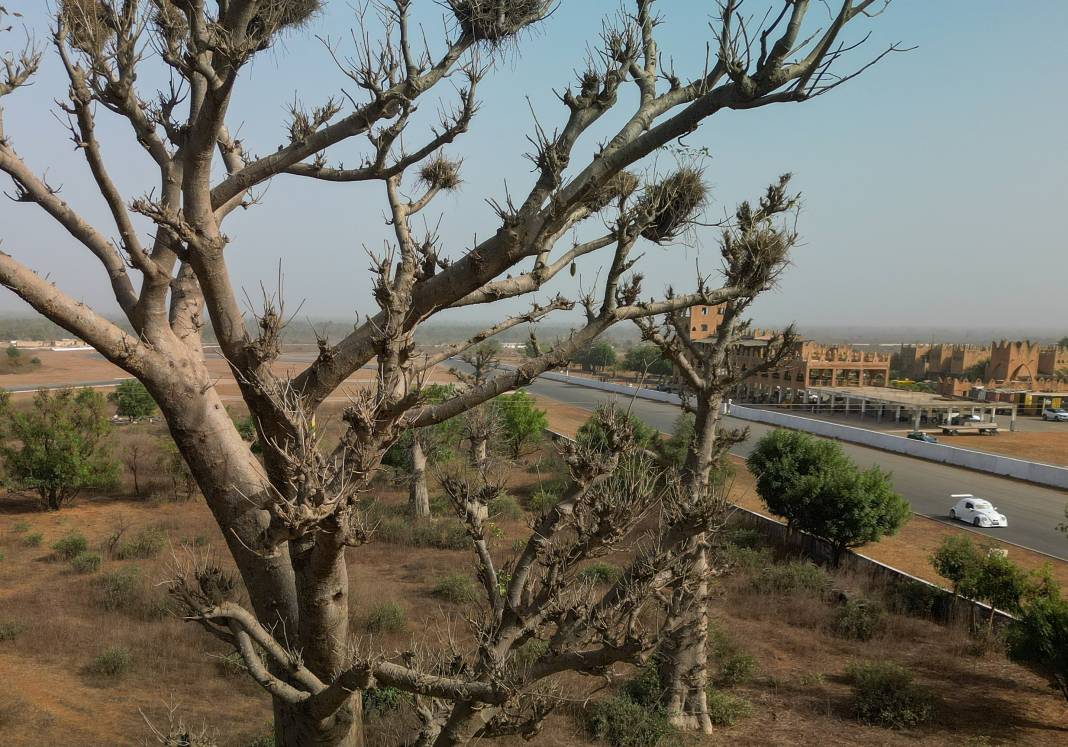 Batı Afrika’nın İlk Kalıcı Pistinde Yarış Heyecanı Yaşandı 2