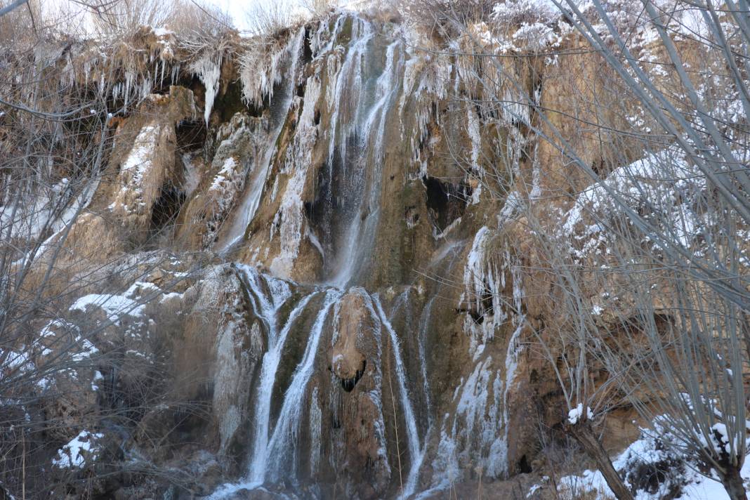 Erzincan'da Şelale Buz Tuttu - Fotoğraf: 6