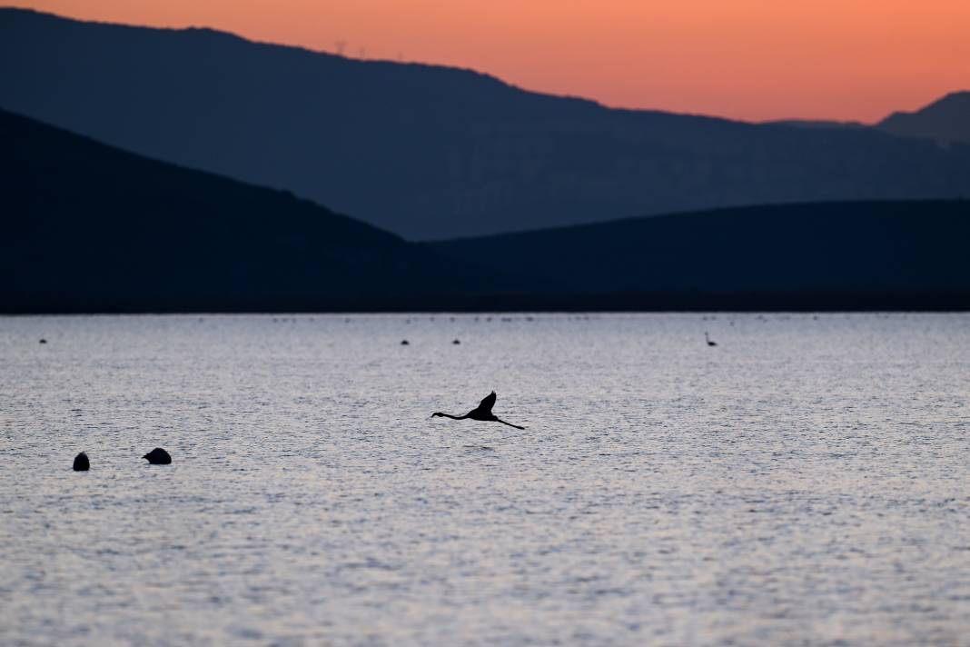İzmir'de Kuş Cenneti 6