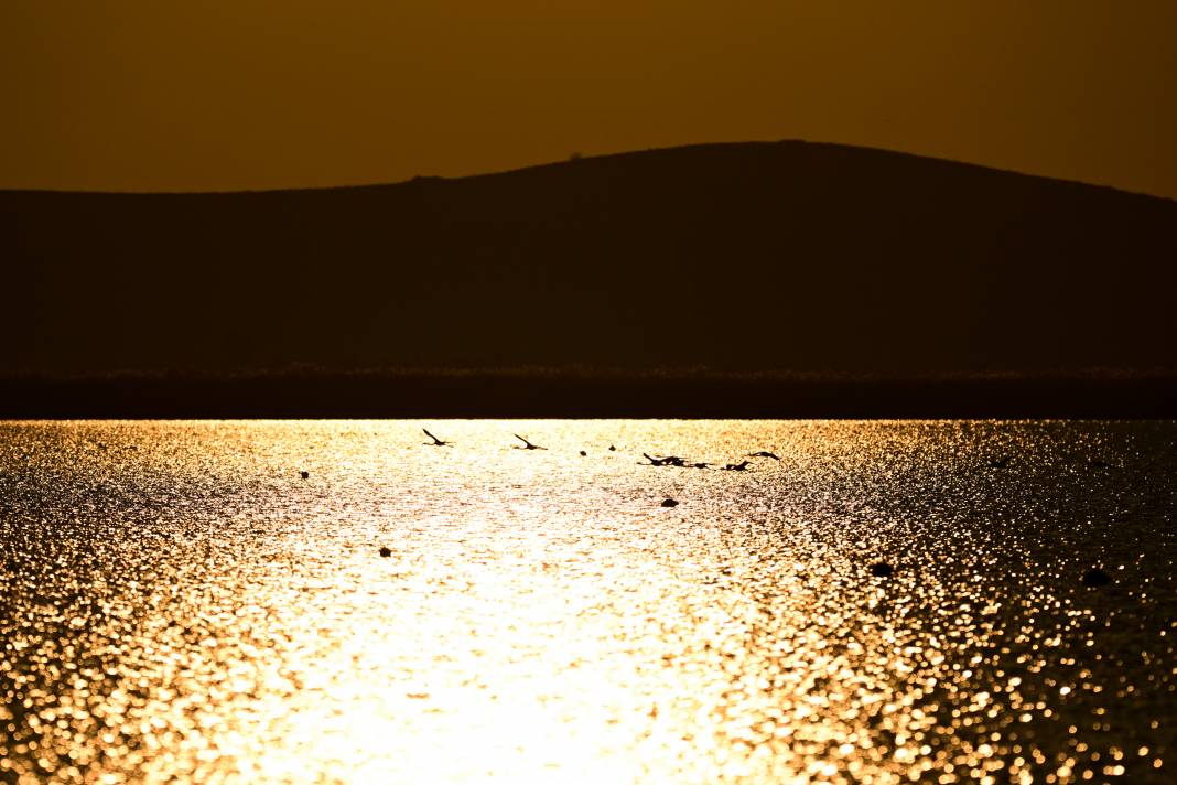 İzmir'de Kuş Cenneti 1