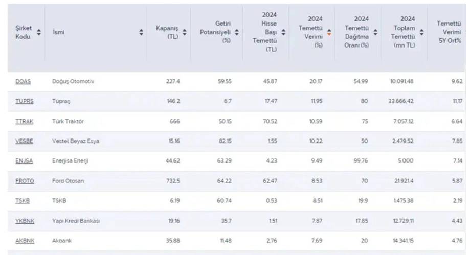 2024 Yılında En Çok Temettü Vermesi Beklenilen Borsa Şirketleri 6