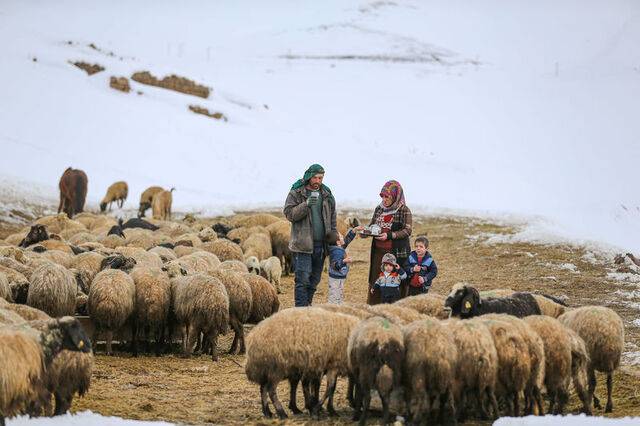 Bu Mahallede Tek Bir Aile Yaşıyor! 10