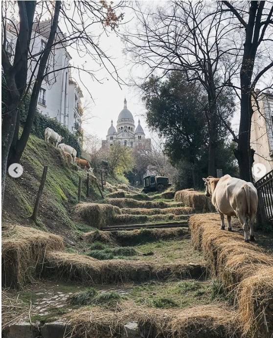 Yapay Zeka'nın Paris'i 'İşgal' Ettiği Görüntüler Viral oldu 1