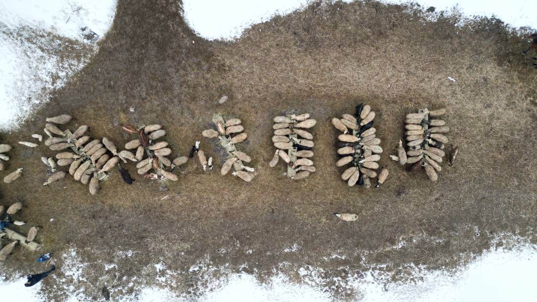 Bu Mahallede Tek Bir Aile Yaşıyor! 16