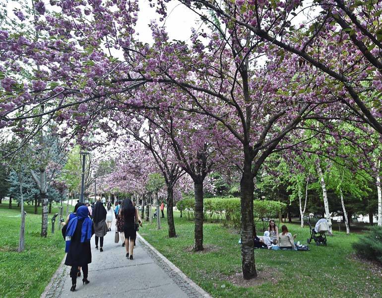 Kış Karsız Bitiyor! Baharda Hava Nasıl Olacak? Meteoroloji Tahminini Paylaştı 7