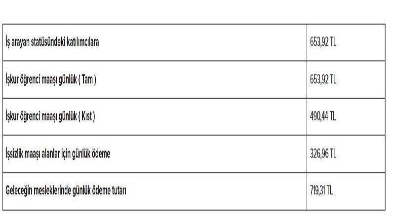 Bu Kişilere Günlük 700 Lira Ödeme Yapılacak: Türkiye'nin Tüm Şehirlerinde Geçerli 14