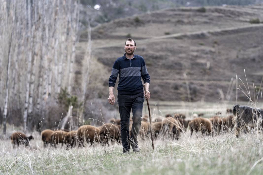 Şehirden Köye: Devlet Desteğiyle 100 Koyunla Başladı, Hedefi 1000 Koyun Sahibi Olmak 7