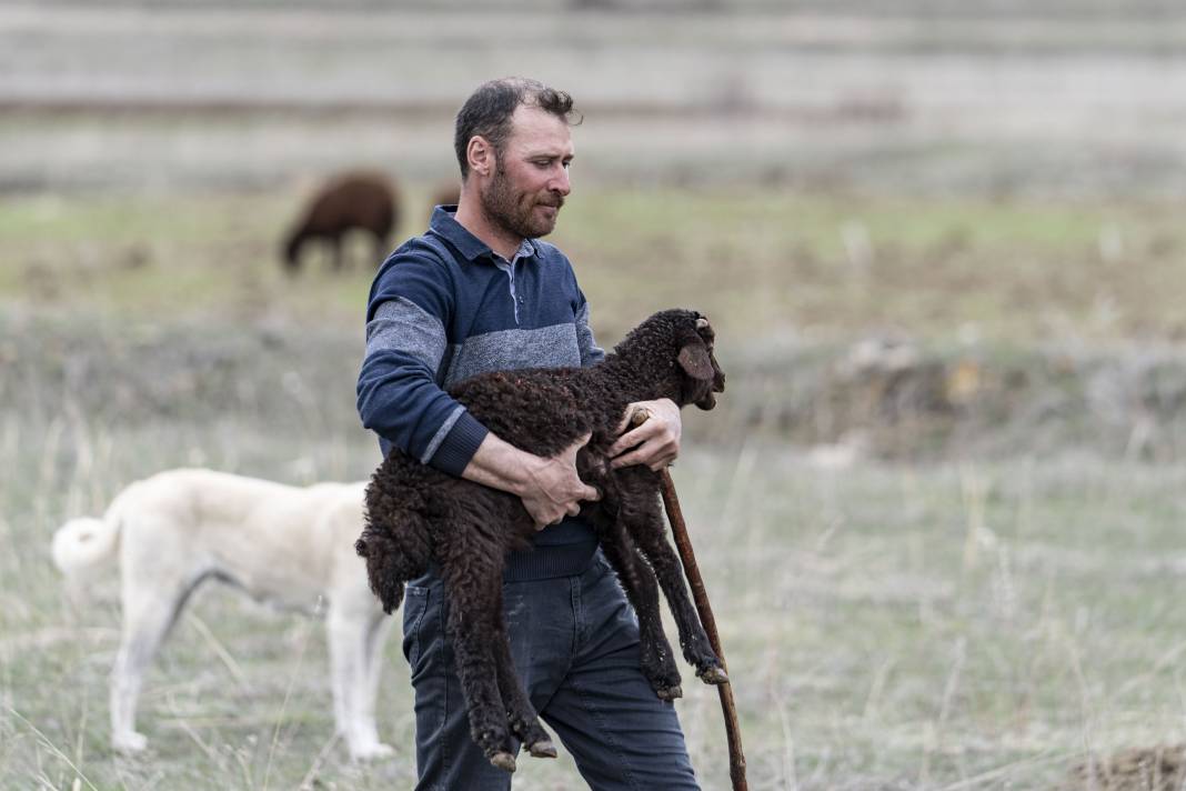 Şehirden Köye: Devlet Desteğiyle 100 Koyunla Başladı, Hedefi 1000 Koyun Sahibi Olmak 8