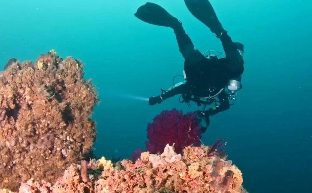 Su Altı Dalışıyla Çanakkale Savaşları'ndan Batıklar Fotoğraflandı 12