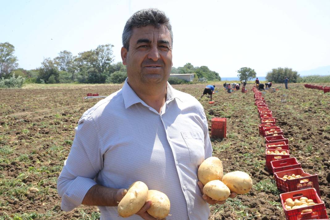 Son Kez Toplanacak, Kaçırmayın! Kilosu 17 Lira 2