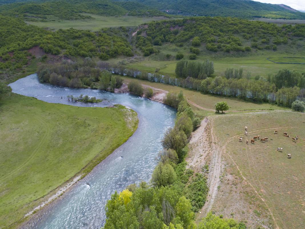 Munzur Vadisi Milli Parkı'nda İlkbaharın Büyüleyici Güzelliği 18