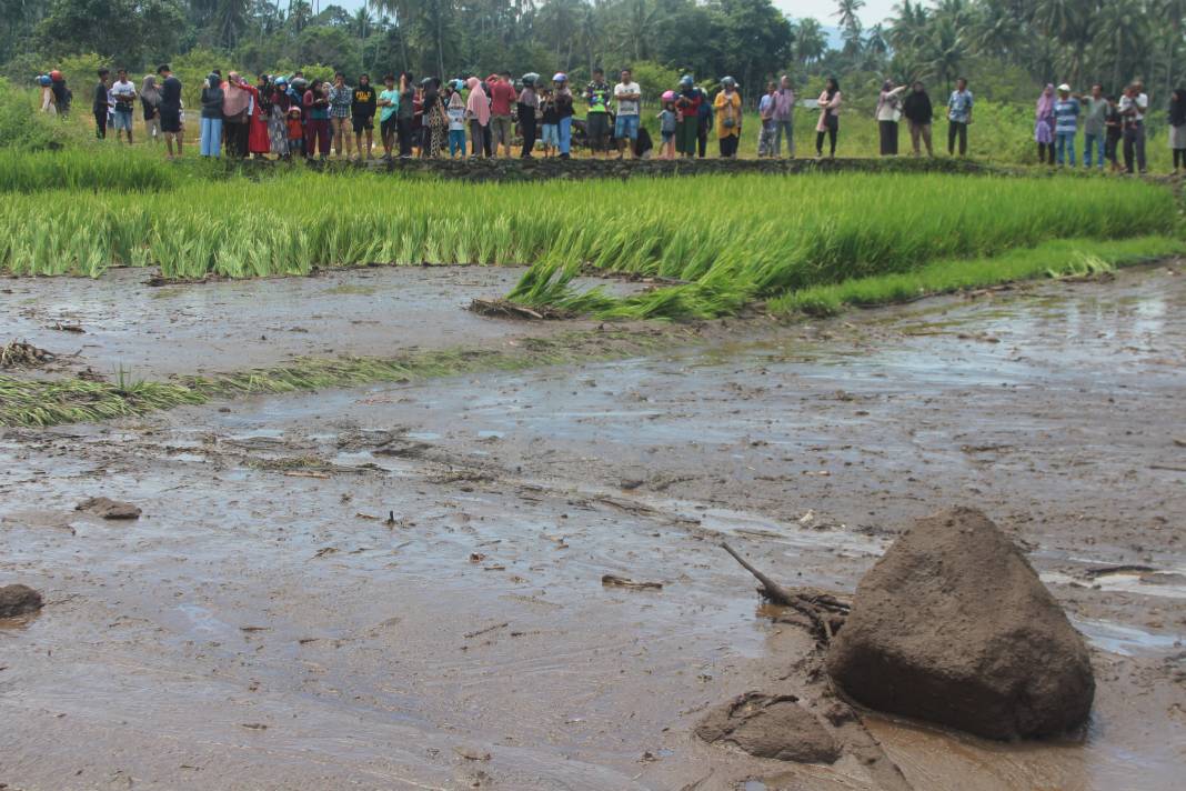 Yanardağ Patladı: Ölü Sayısı Artıyor! 8