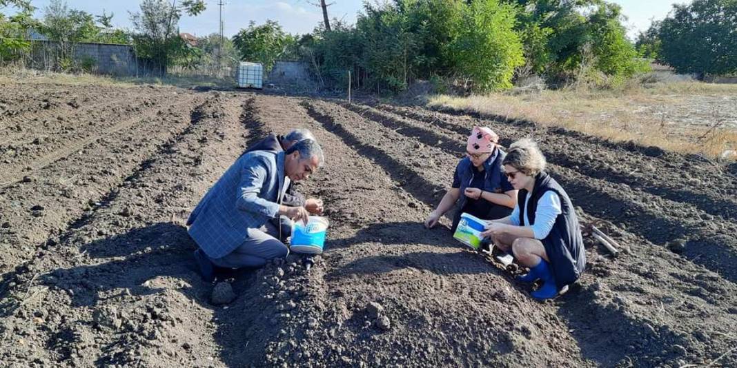 Kazancı Kadar Cezası da Yüksek! Özel İzinle Yetiştiriliyor: 1 Dönümden 400-600 Kilogram Elde Ediliyor 6