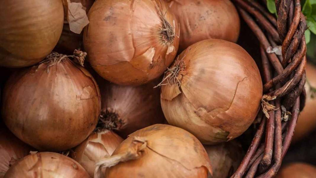 Nisanın Zam Şampiyonu Kuru Soğan Oldu! Bir Zamanlar Kiloylaydı, Artık Tane ile Alınıyor 8