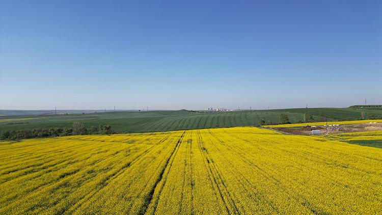 Borsa, Yılın İlk Hasadı İçin Üreticiye 100 Litre Mazot Hediye Etti! Tonuna 19 Bin 230 Lira Verdi 3
