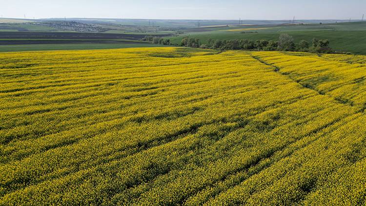 Borsa, Yılın İlk Hasadı İçin Üreticiye 100 Litre Mazot Hediye Etti! Tonuna 19 Bin 230 Lira Verdi 4