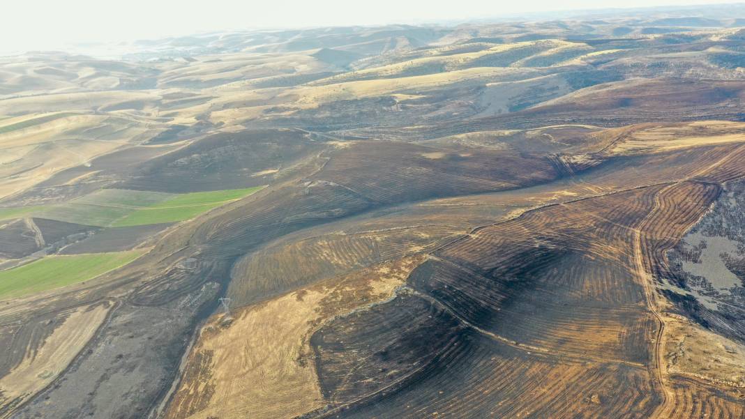 Korkunç Gelişme: Can Kaybı 14'e Yükseldi! Diyarbakır ve Mardin'deki Korkunç Yangının İzleri Gün Ağarınca Ortaya Çıktı! 15