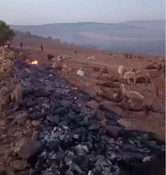 Korkunç Gelişme: Can Kaybı 14'e Yükseldi! Diyarbakır ve Mardin'deki Korkunç Yangının İzleri Gün Ağarınca Ortaya Çıktı! 4