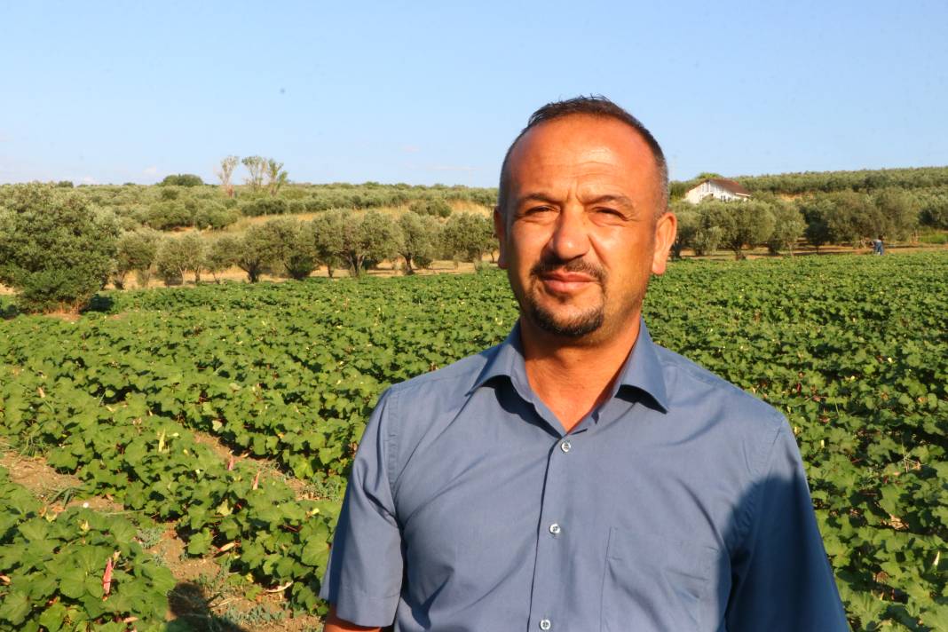 Kadınlar görür görmez telefona sarılıp sipariş veriyor! Tekirdağ'ın kınalısının hasadı başladı 9